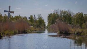 A river with a cross in the foreground and trees on both sides. - Cabin in Nature near Scenic Trails (Scherpenzeel (FR))