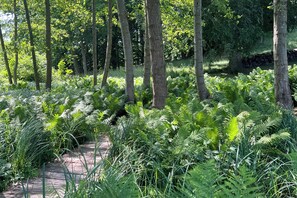 المنطقة المحيطة بالمنشأة