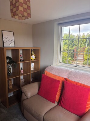 Smart TV, DVD player, books, stereo