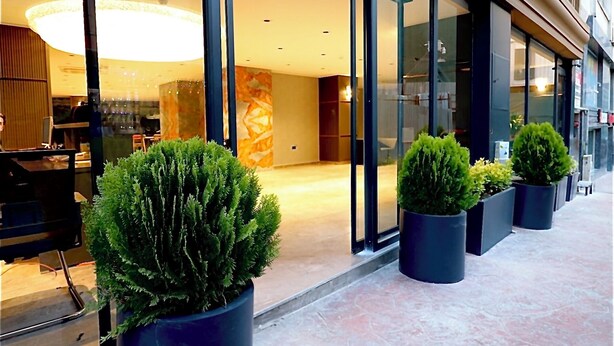 Una entrada moderna a un edificio con puertas de vidrio, plantas en macetas y una gran lámpara interior.
