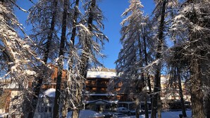 Un espace extérieur enneigé, avec de grands arbres et un bâtiment doté de nombreuses fenêtres et de balcons.