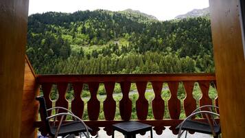 Double Room, Balcony | Balcony