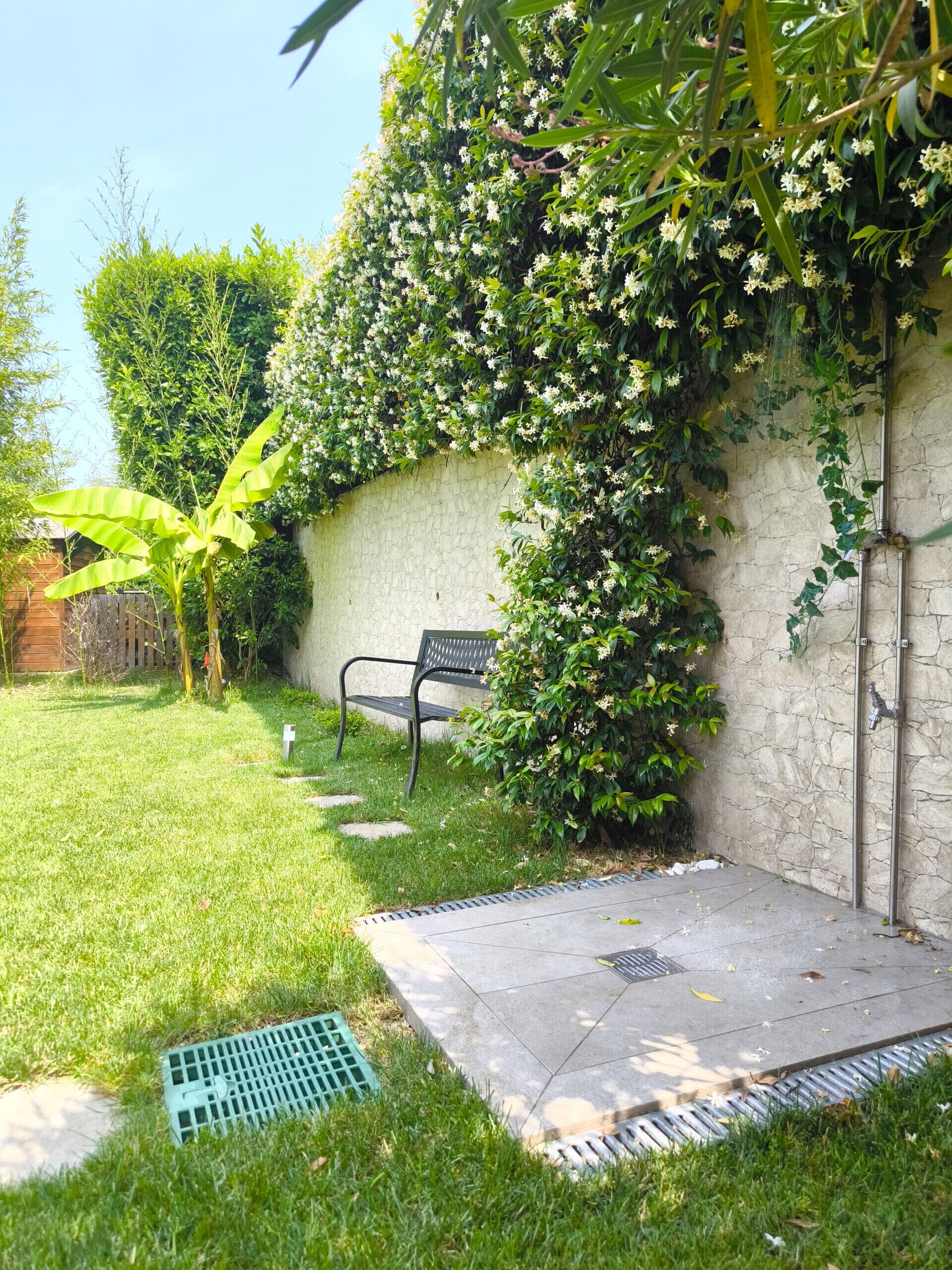 A garden with a stone wall, a bench, and a green drainage grate.