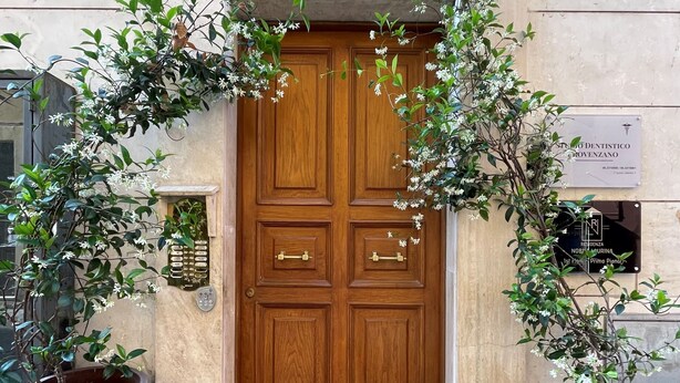 A wooden double door with a small step leading up to it, flanked by large potted plants. - Casa Amicitia Spanish Steps (Roma)