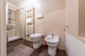 Shower, hair dryer, bidet, towels