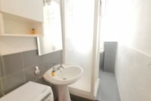 Shower, hair dryer, bidet