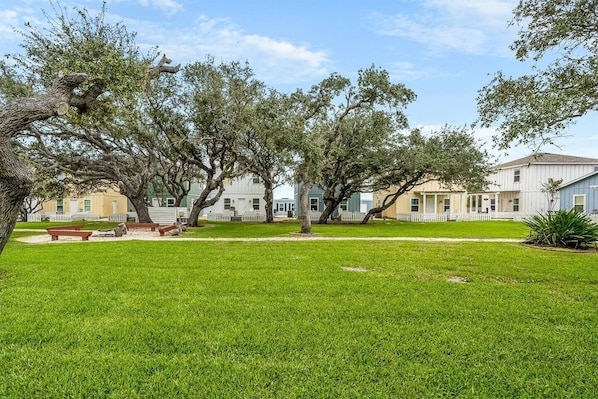 A grassy courtyard with trees, a bench, and a building with a white fence.