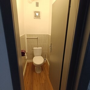 Hair dryer, towels, soap, toilet paper - Nice apartment near Saarbrucken (Stiring-Wendel)