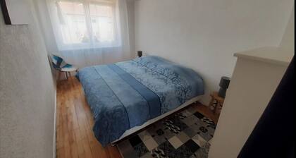 Bel appartement proche Saarbruck