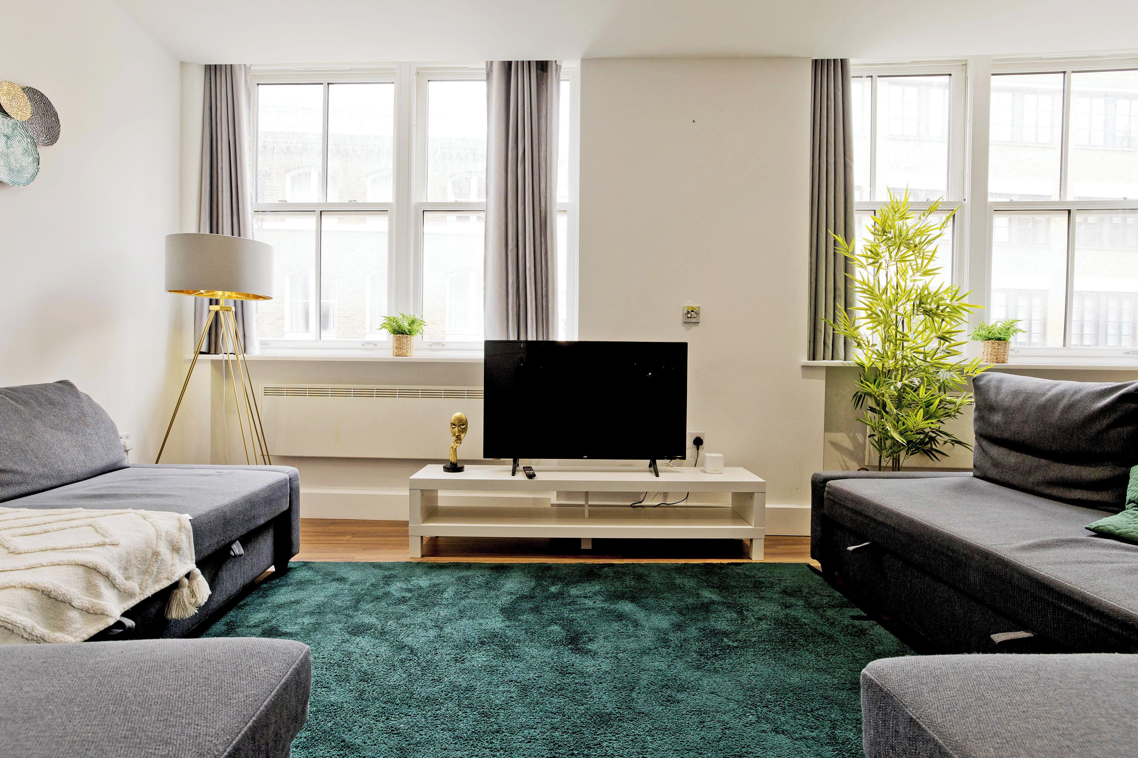 A living room with two grey sofas, a flat-screen TV on a white stand, a green rug, and a potted plant.