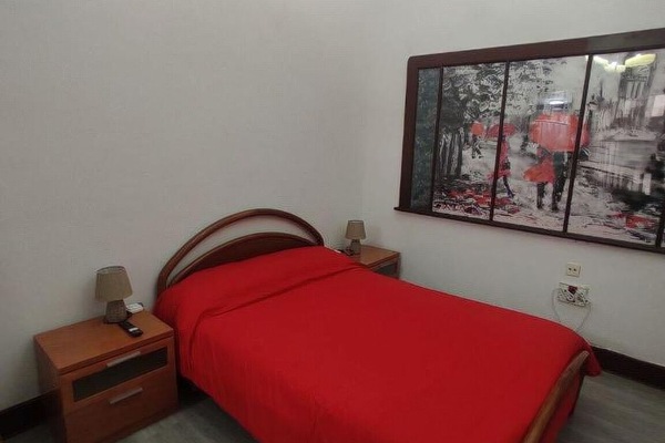 Basic Double Room | Down comforters, free WiFi, bed sheets