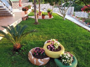 Área da propriedade