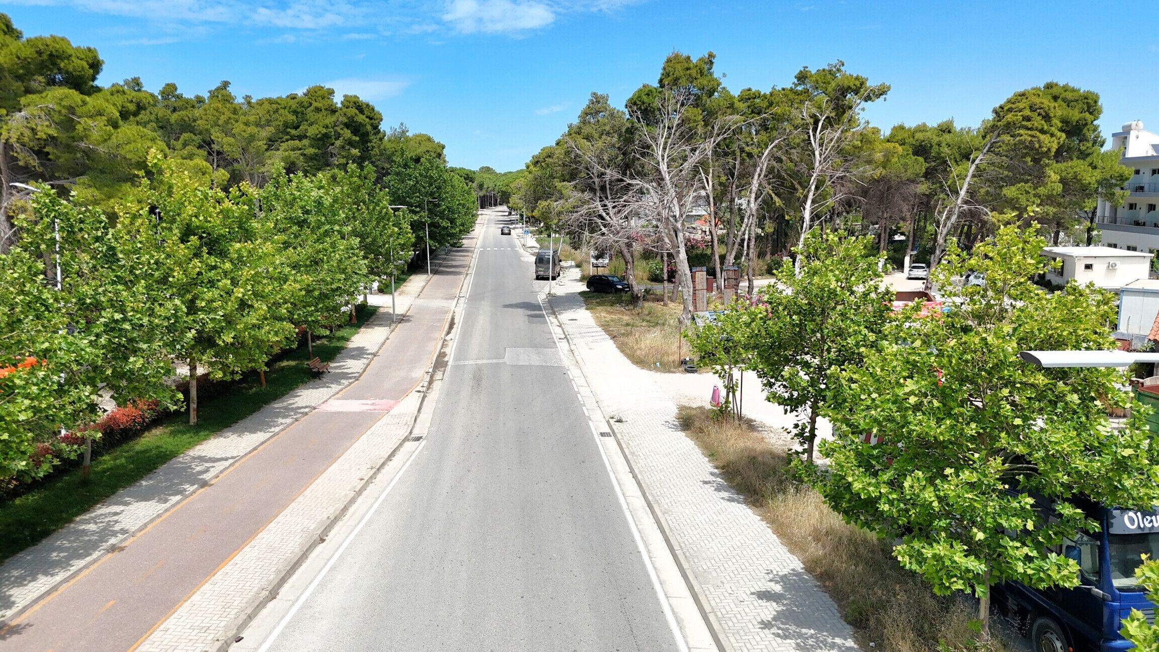 A tree-lined street with a clear road, sidewalks, and buildings on both sides.