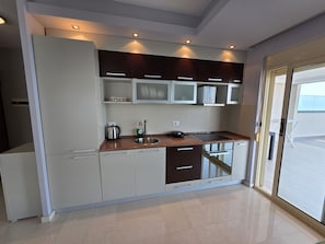 Fridge, oven, dishwasher, electric kettle