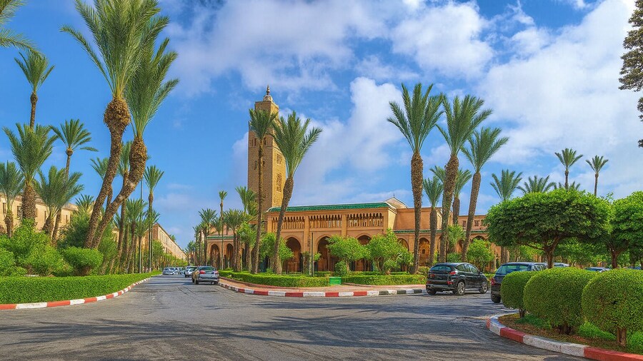 Riad Amirkesh and Pool