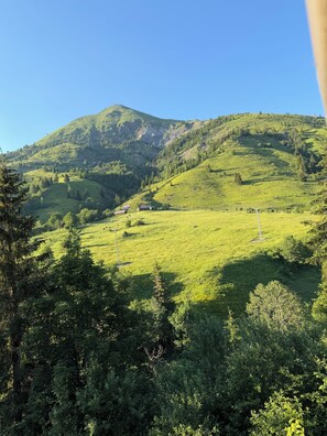 Overig