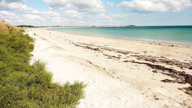 A wide sandy beach with gentle waves, a clear sky, and distant buildings. - House for 6 with garden, 900 m from the beach (Penmarch)