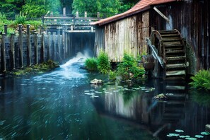 Unclassified image, 4 of 37, button