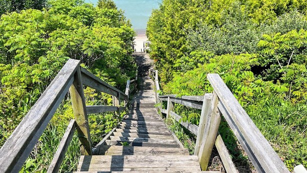 En trætrappe fører ned til en strand, omgivet af frodig vegetation.