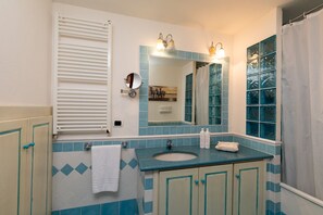 Shower, hair dryer, towels