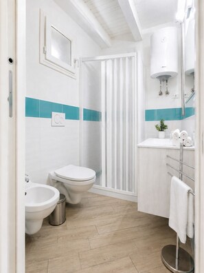 Regadera, secadora de cabello, bidet 
