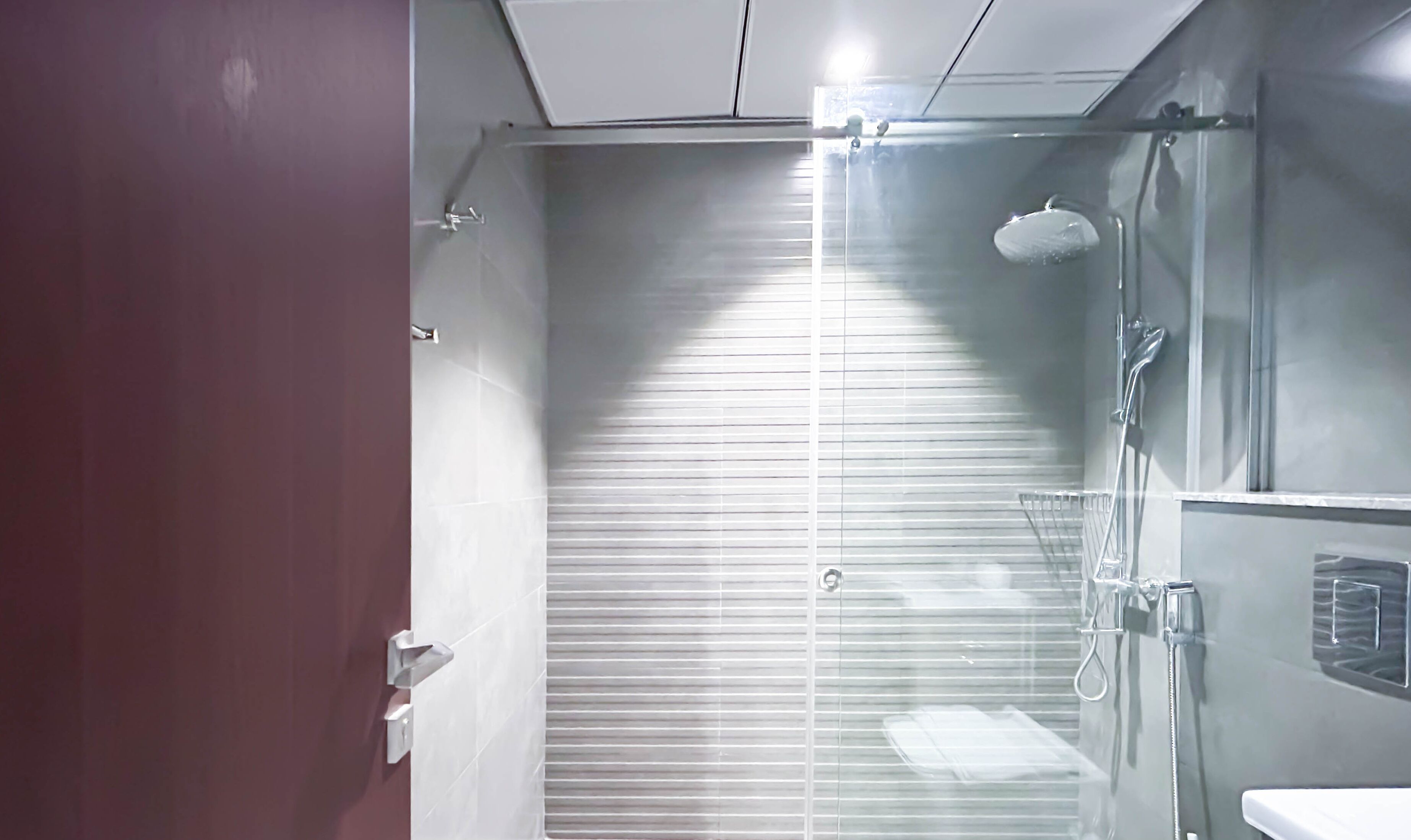 A modern bathroom with a glass shower enclosure, a handheld showerhead, and a visible towel rack.