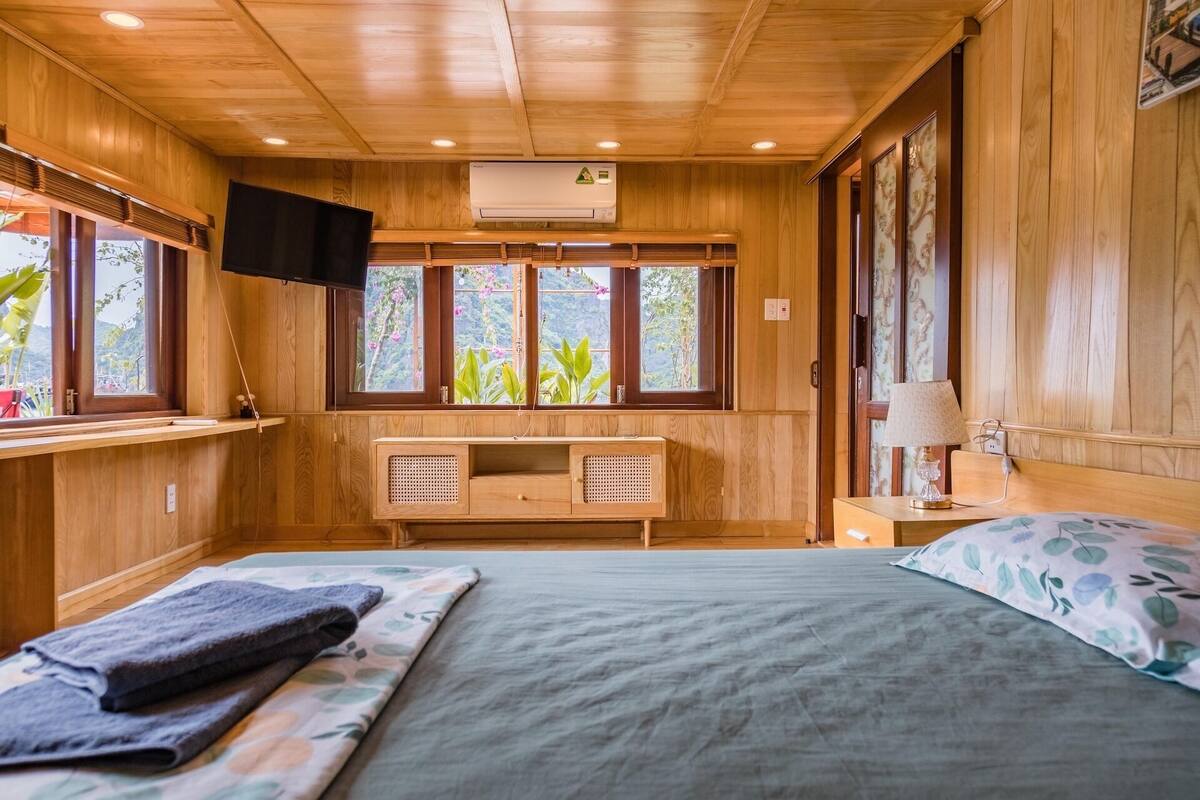 A wooden room with a bed, a TV, a desk, and windows with plants.
