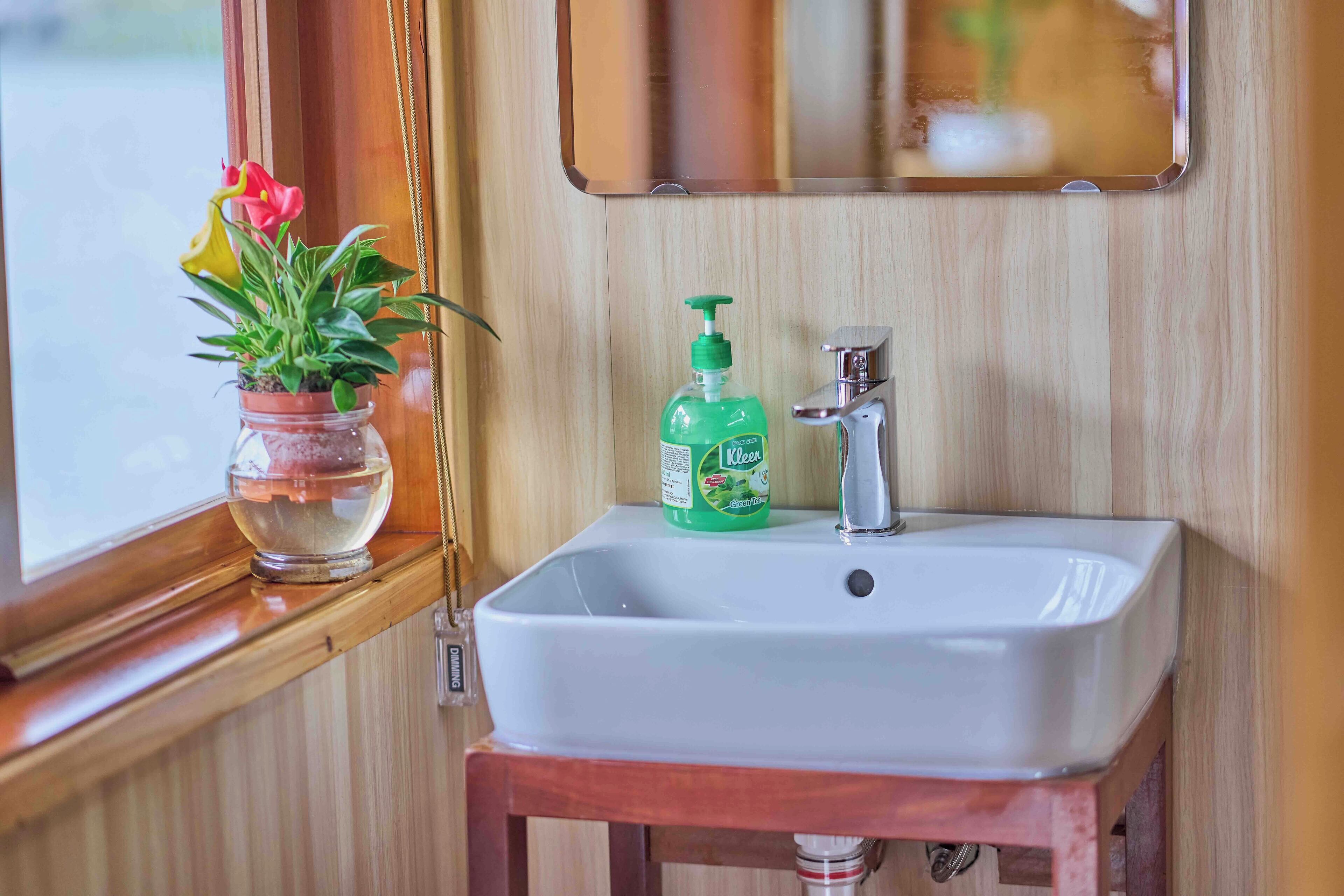 Une salle de bain avec un lavabo blanc, une bouteille verte de mouchoirs Kleenex et une plante en pot aux fleurs rouges.