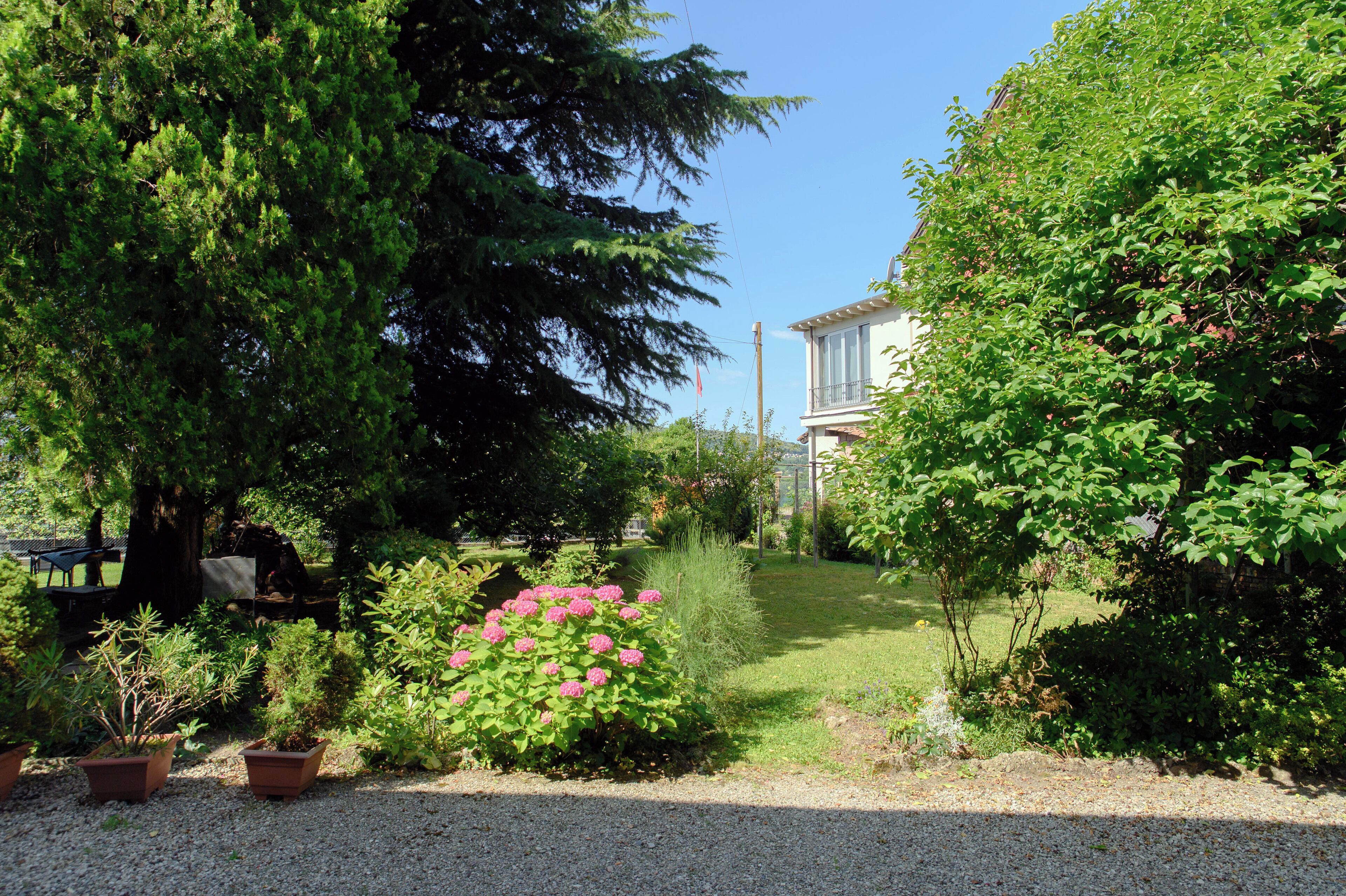 Jardin