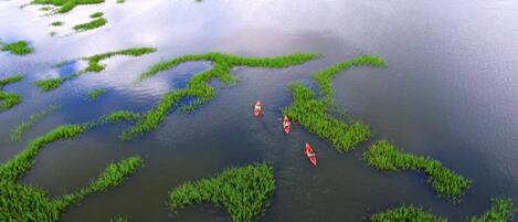 A large body of water with green vegetation patches and three kayaks.