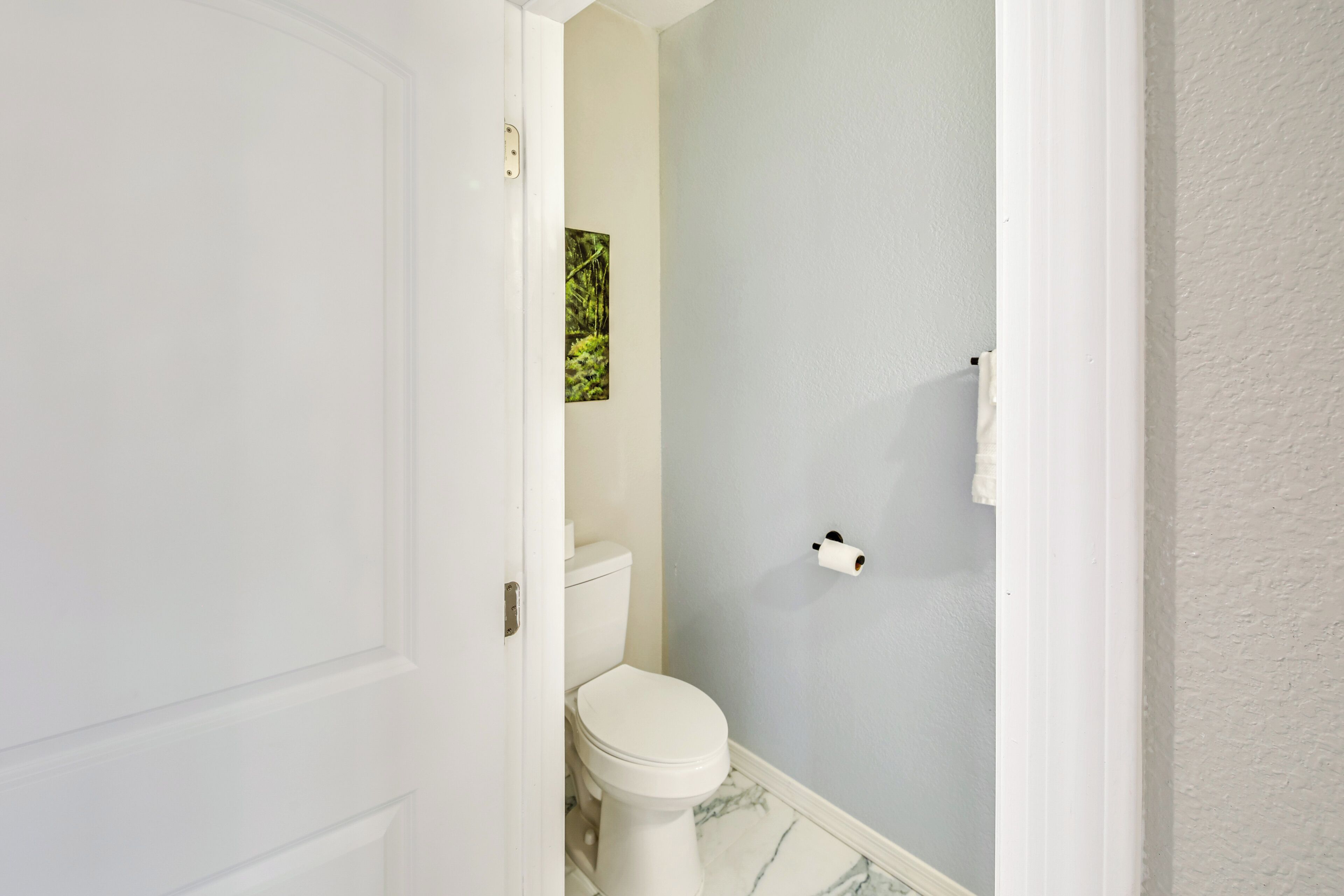 A bathroom with a toilet, a toilet paper holder, and a framed picture on the wall.