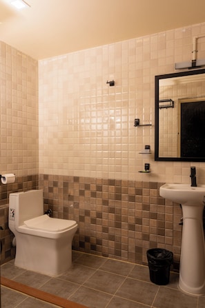 Douche, serviettes fournies, savon, papier toilette