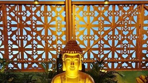 A large golden Buddha statue surrounded by potted plants.