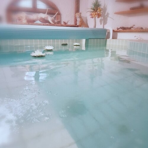 Villa "Liberty" with inside and outside pool