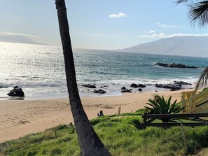 A beach with a palm tree, rocky shoreline, and a wooden bench. - Across from Sandy Beaches! Island Paradise- Special Rates Book Now! (Kihei)