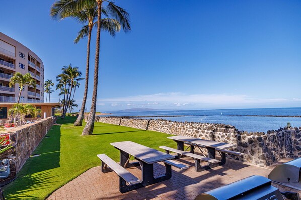 Un patio frente a la playa con mesas de picnic, palmeras y vista al océano.