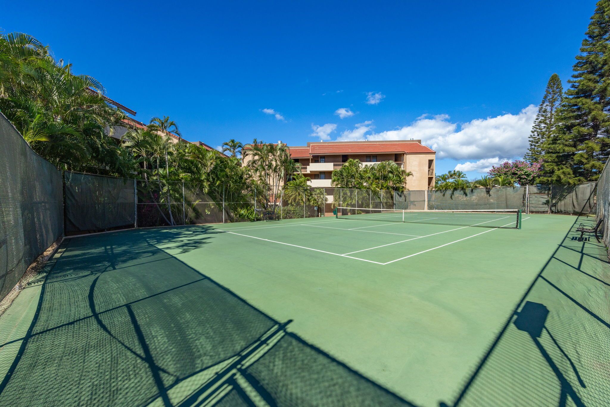 Una cancha de tenis con una red, rodeada por una cerca y palmeras, con un edificio al fondo.