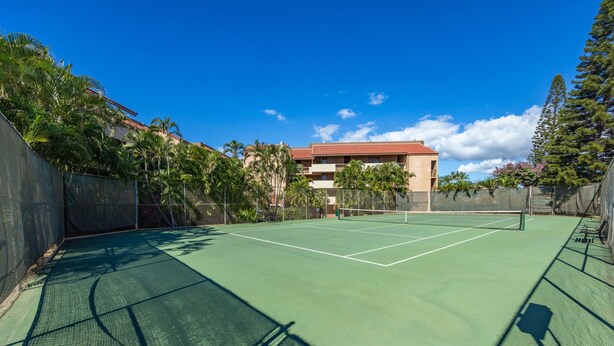 Una cancha de tenis con una red, rodeada por una cerca y palmeras, con un edificio al fondo.