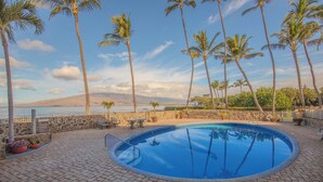 Una piscina circular con borde de piedra, rodeada de palmeras y un muro de piedra.