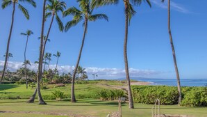 Un campo de golf con palmeras y vista al océano.
