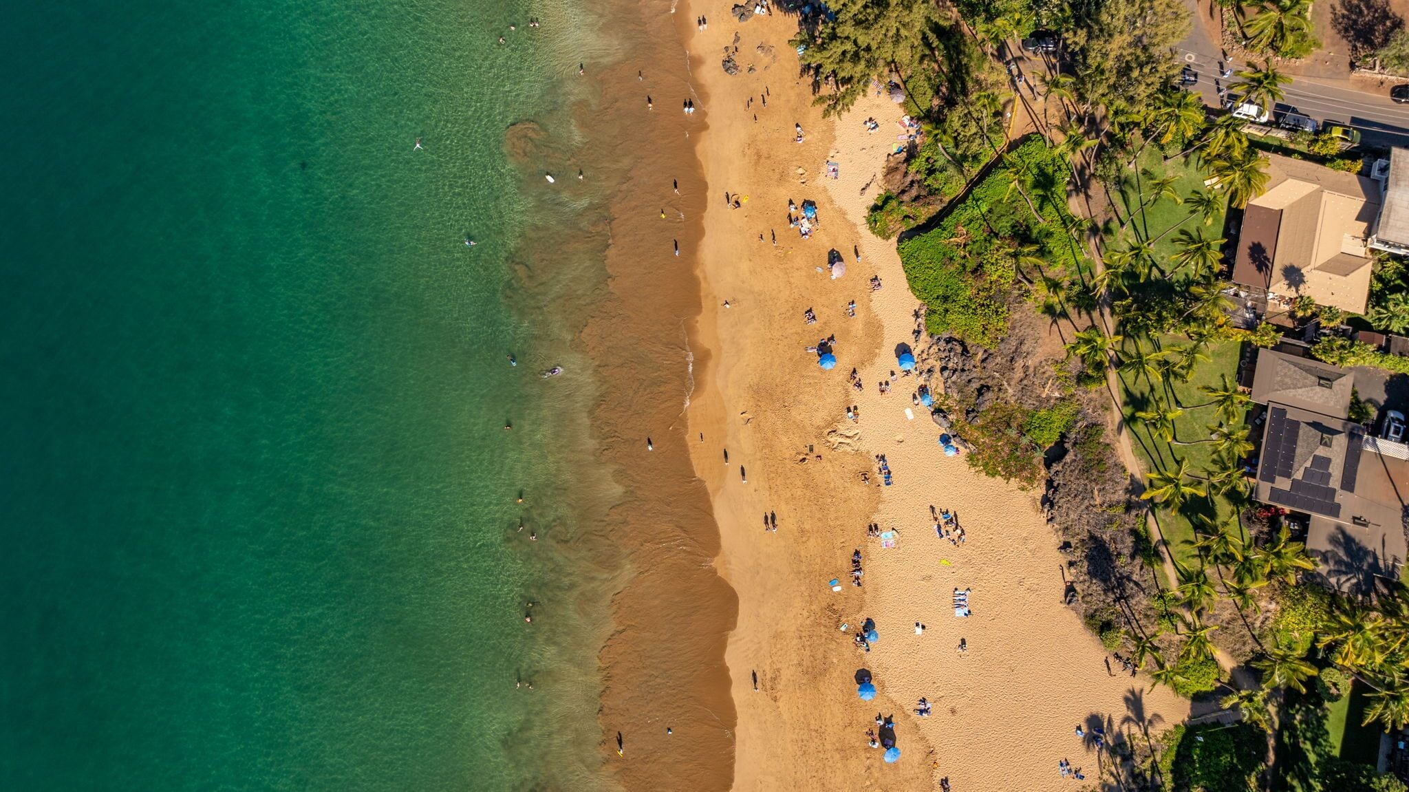 An aerial view of a beach with people, umbrellas, and palm trees.
