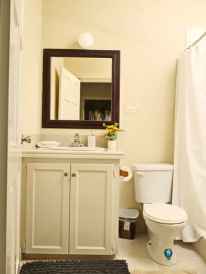 Une salle de bain avec un lavabo blanc, un miroir, des toilettes et un rideau de douche.