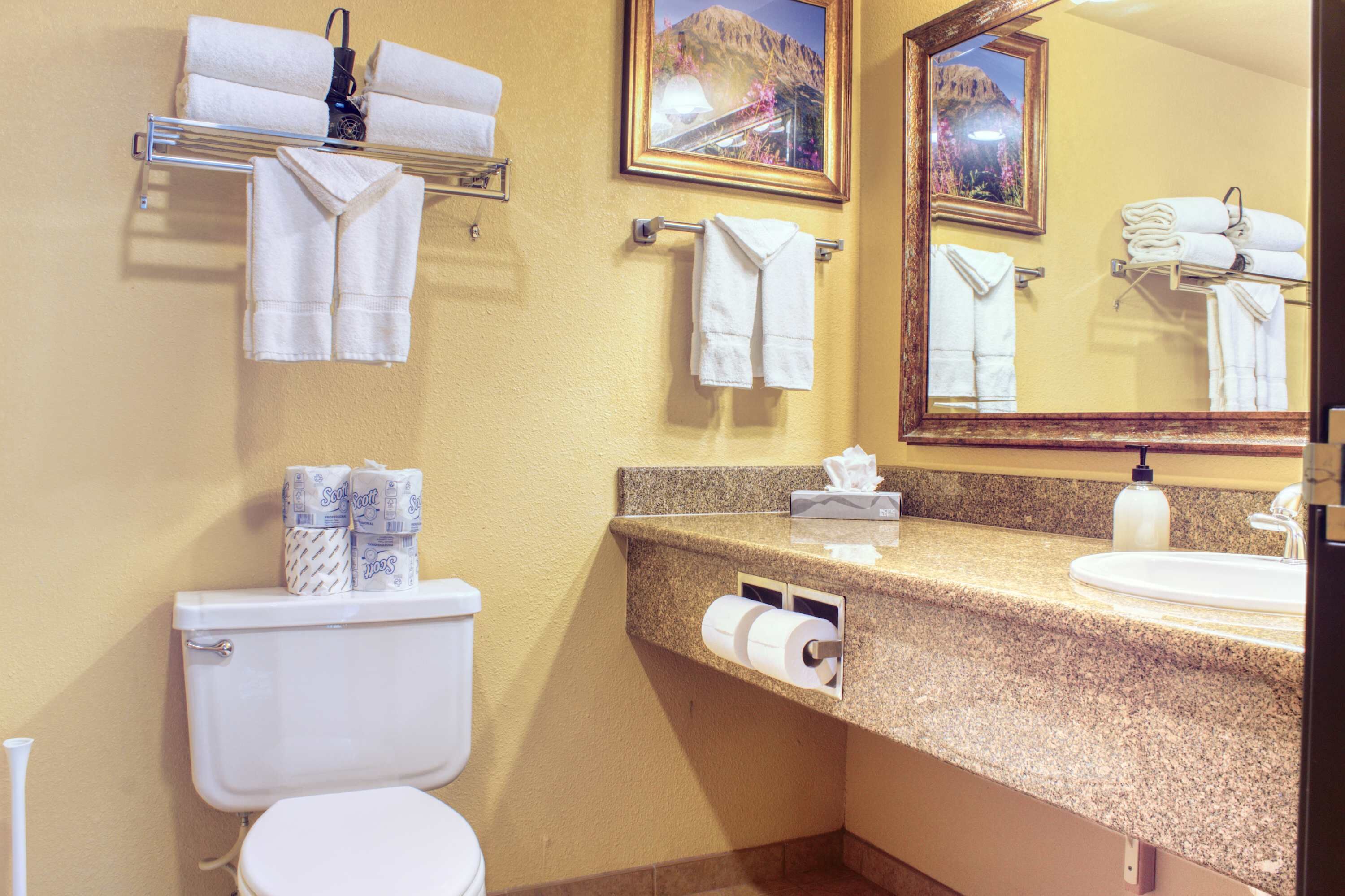 A bathroom with a toilet, sink, towel rack, and a mirror.