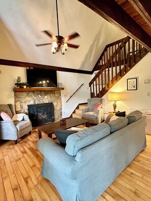 TV connectée, cheminée, lecteur de DVD, livres