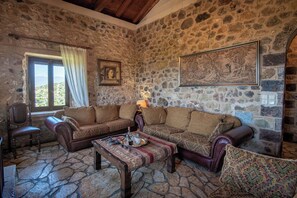 Televisio, takka, työhuone