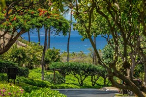 Property grounds - Maui Kamaole M207 2 Bedroom Condo (Kihei)