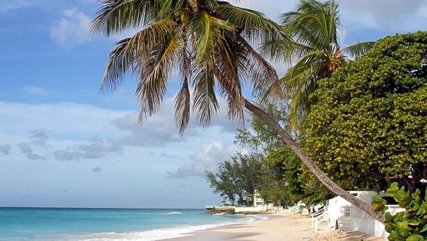 A beach with a sandy shore, palm trees, and a clear sky. - Rosedale 3 Home (Worthing)
