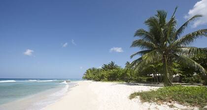 Palm Beach 110 3 Bedroom Condo