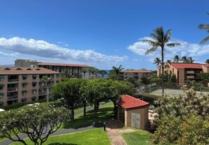 Property grounds - Maui Vista 3213 1 Bedroom Condo (Kihei)