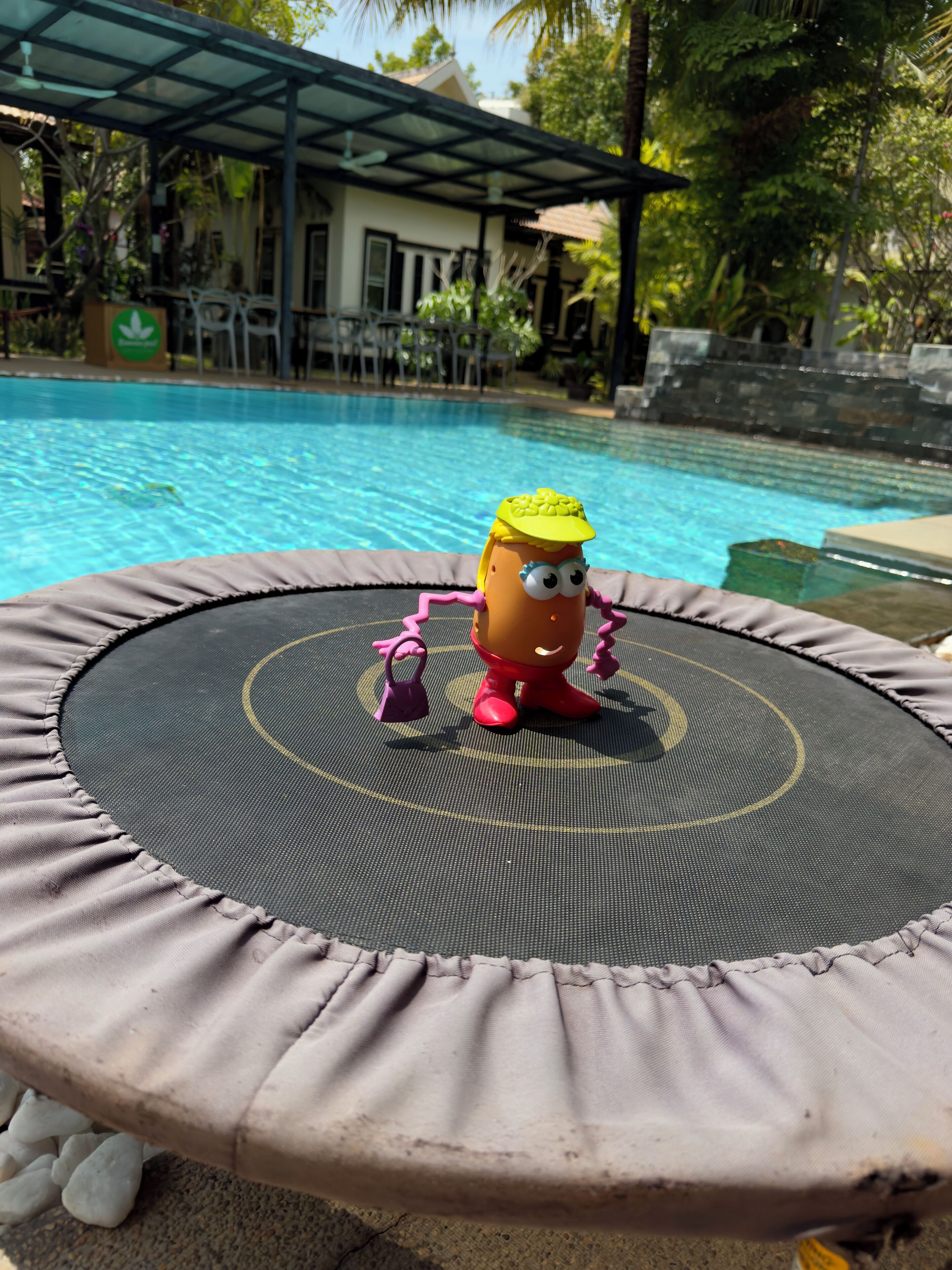 Children's activities